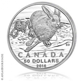50 Canada Dollar - Hase - Tauschaktion