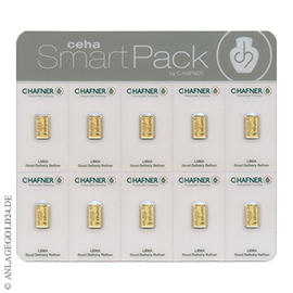 10x 2g Goldbarren Smartpack C.Hafner